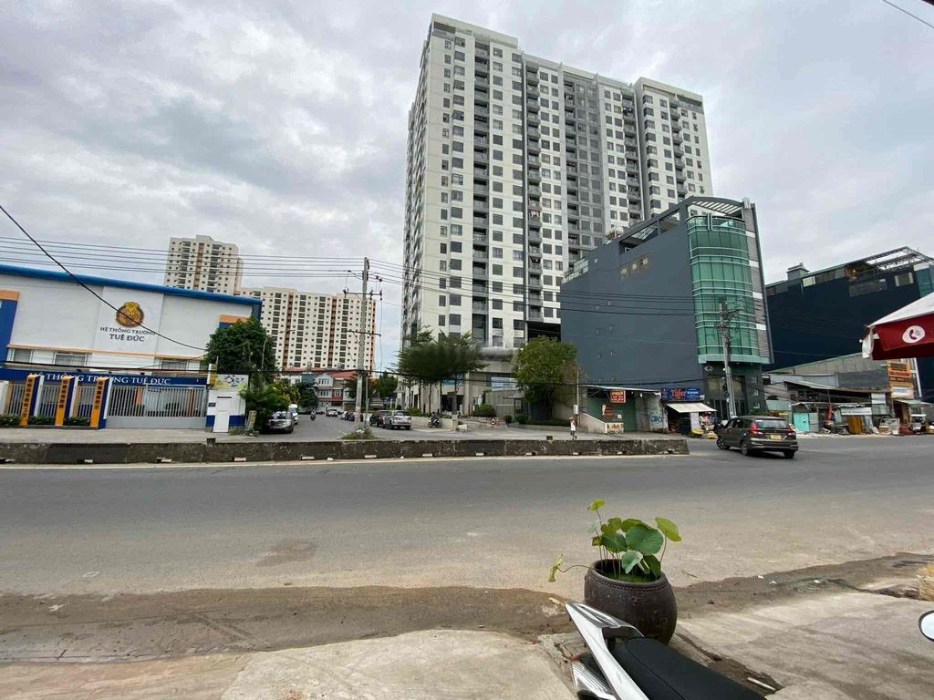 LuongDinhCua1 houzez